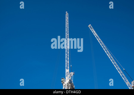 Zwei weiße Kranich schräg zueinander vor einem strahlend blauen Himmel. Stockfoto