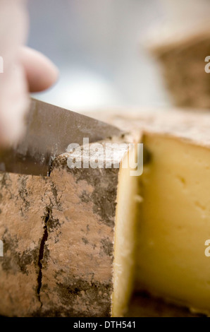 Der great British Cheese Festival, Cardiff Castle. Stockfoto