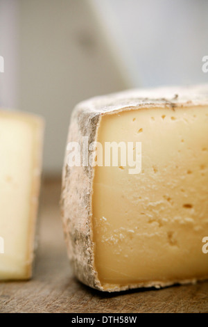 Der great British Cheese Festival, Cardiff Castle. Stockfoto