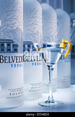 Belvedere Wodka-Flaschen und Martini-Glas Stockfoto