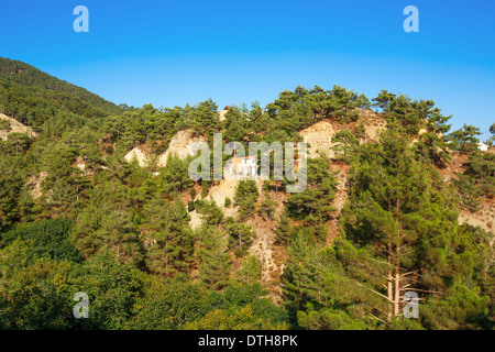 Landschaft mit Kiefernwald und Haus in Zypern. Stockfoto