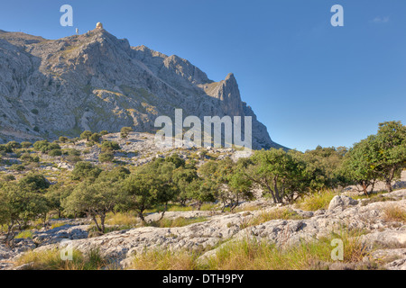 Puig Major Berg- und Radar Station auf seiner Spitze. Eichen. Tramuntana-Gebirge. Mallorca, Balearen, Spanien Stockfoto