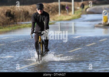 Egham, Surrey, UK. 17. Februar 2014. Flut Szenen von Egham, Surrey A Radfahrer verhandelt die zurückweichenden Fluten in Runnymede, in der Nähe von Egham, Surrey. Bildnachweis: John Maxwell-Roberts/Alamy Live-Nachrichten Stockfoto