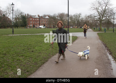 London UK. 18. Februar 2014. Rechtsanwalt und Teilzeit beurteilen Constance Briscoe, Stand Trial in Southwark Crown Court liegen bei Polizei über die Beschleunigung Punkte über die MP Chris Huhne Beschleunigung Punkte gesehen ist Spaziergang mit ihrem Hund in Clapham Common. Constance Briscoe ist fällig vor Gericht erscheinen im April, nachdem die Jury ein Urteil Credit zu erreichen konnte: Amer Ghazzal/Alamy Live-Nachrichten Stockfoto