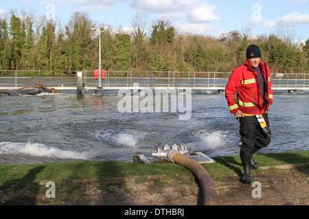 Egham, Surrey, UK. 17. Februar 2014. Flut Szenen von Egham, Surrey A West Yorkshire und Feuerwehr Feuerwehrmann Positionen einen Schlauch zum Hochwasser in der Themse bei Runnymede, in der Nähe von Egham, Surrey zu Pumpen. Bildnachweis: John Maxwell-Roberts/Alamy Live-Nachrichten Stockfoto