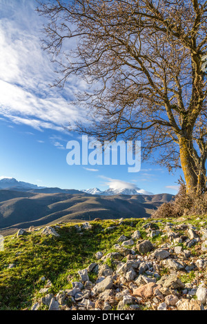 Eine schneebedeckte Monte Cinto im Morgengrauen entnommen den Col de San Colombano im Norden Korsikas bei Sonnenaufgang Stockfoto