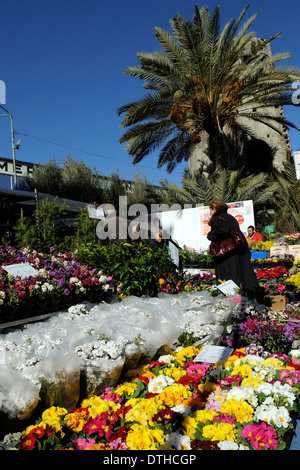 Die bunten Blumenmarkt von Sanremo Stockfoto