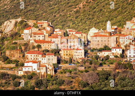 Die Hügel Dorf von Belgodere in der Balagne Region Nord-Korsika, Frankreich Stockfoto