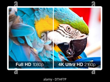 4K TV Display mit Vergleich der Auflösungen. Ultra HD auf auf modernen TV Stockfoto