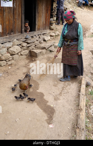 Frau bewegen Hühner entlang des Weges vor ihrem Haus in einem Dorf in der Tsum Valley, Nepal. Stockfoto