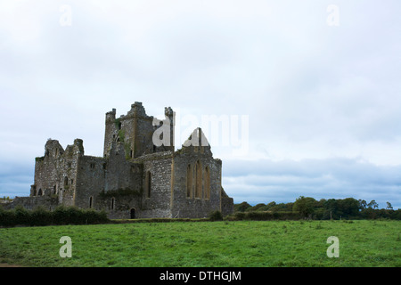 Dunbrody Abbey Stockfoto