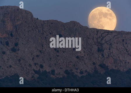 Echte Vollmond über Bergen über Serra d'Alfàbia Berg in der Abenddämmerung. Tramuntana Hügel, Sóller Bereich, Mallorca, Balearen, Spanien Stockfoto