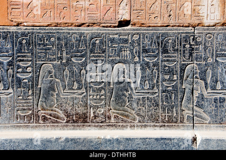 Angebot an Wein, Relief, Rote Kapelle, erbaut von Hatshepsut, 1473-1458 v. Chr. 18. Dynastie im neuen Reich, glücklich Stockfoto