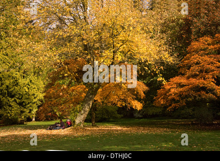 Herbstlicher Baum Farben in dem National Trust Stourhead Gardens, Wiltshire, Blick über den See der Pantheon-Wahnsinn. eine UK Stockfoto