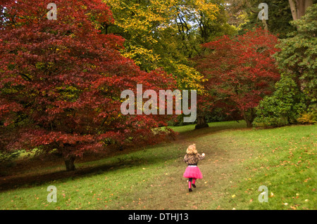 Herbstlicher Baum Farben in dem National Trust Stourhead Gardens, Wiltshire, Blick über den See der Pantheon-Wahnsinn. eine UK Stockfoto