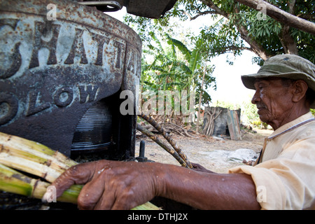 Panamaischer Mann machen Raspadura aus Zuckerrohr in der Nähe von Penonome in Cocle Provinz, Republik von Panama. Stockfoto