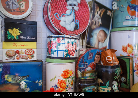 50er Jahre fünfziger Jahre Kitsch nach Hause innen Zierpflanzen Stockfoto