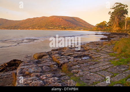 Die tesselierten Pflaster und Pirates Bay auf der Tasman-Halbinsel Stockfoto