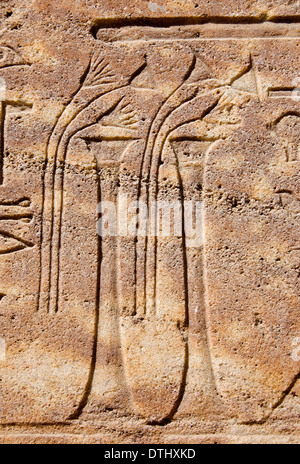 Rote Kapelle Königin Hatshepsut Tuthmose Karnak Freilichtmuseum: zwei Vasen mit Blumen Stockfoto