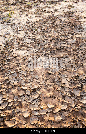 Ausgetrocknet Flussbett in Indien Stockfoto