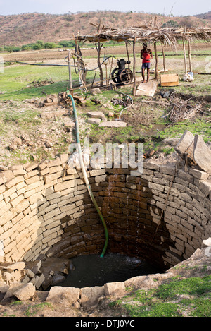 Pumpen von Wasser aus einem Brunnen in der indischen Landschaft für Reis Reisfeld Bewässerung. Andhra Pradesh, Indien Stockfoto