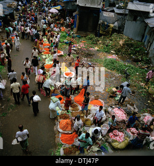 Mullick Ghat Blumenmarkt in Kolkata Kalkutta in Westbengalen in Indien in Südasien. Malik Mallick Märkte Handel Reportage Blumen Urban City Reisen Stockfoto