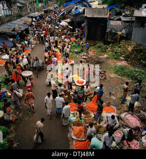 Mullick Ghat Blumenmarkt in Kolkata Kalkutta in Westbengalen in Indien in Südasien. Malik Mallick Märkte Handel Reportage Blumen Urban City Reisen Stockfoto