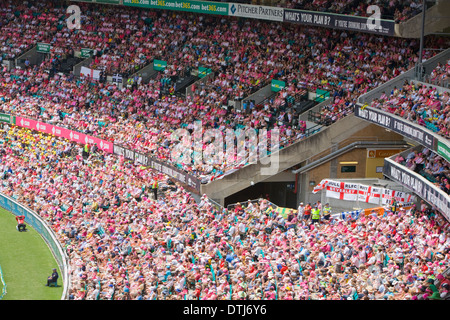 Rosa Tag auf dem Sydney Cricket Ground während des 5. Asche Tests im Januar 2014 Stockfoto