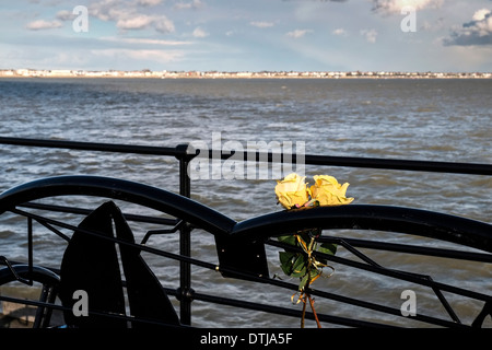 Gelbe Rosen befestigt auf einer Bank auf Southend Pier in Essex Stockfoto