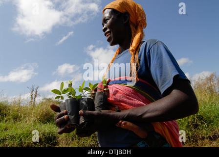 UGANDA Kitgum, Frau mit Baumsetzlingen Stockfoto