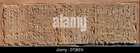 Eingeschnittene Blöcke bilden Teil der rekonstruierten Rote Kapelle oder Chapelle Rouge der Königin Hatshepsut in Open Air Museum Karnak Stockfoto