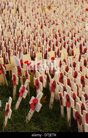 Kreuze platziert außen Westminster Abbey am Volkstrauertag, London England Vereinigtes Königreich UK Stockfoto