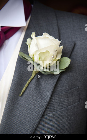 ein Knopfloch in einem grauen Anzug weiße rose Bräutigam Morgen Anzug weiße Kragen Riegel Stockfoto