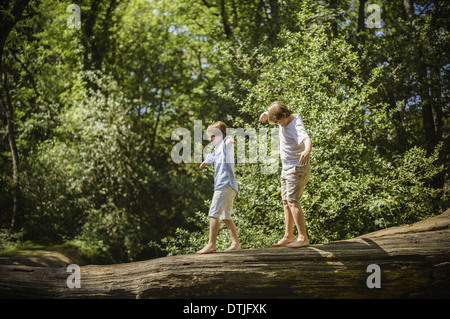 Zwei jungen camping in den New Forest entlang ein Protokoll über dem Wasser balancieren mit ihre Arme ausgestreckt, Hampshire, England Stockfoto