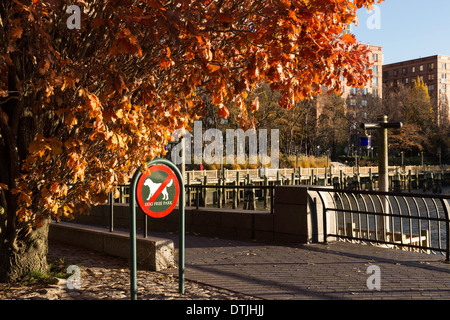 Keine Hunde erlaubt Zeichen auf Wanderweg in Battery Park City, Süd Cove, New York City. USA Stockfoto