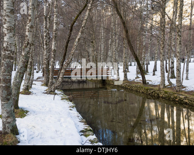 Winter-Szene bei Covão d'Ametade, Naturpark Serra Da Estrela, Portugal Stockfoto