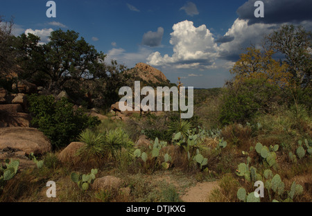 Enchanted Rock State Park, Texas Stockfoto