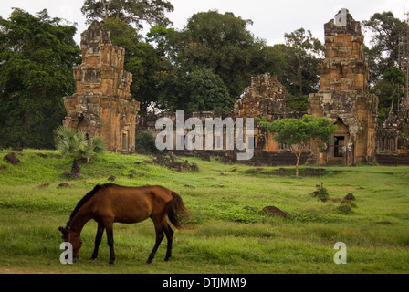 Tempel von Prasat Kleangs & Prasat Suor Prat. Angkor Thom. Die Kleangs sind zwei Gruppen von Gebäuden, die zu einer Zeit, p gewesen Stockfoto