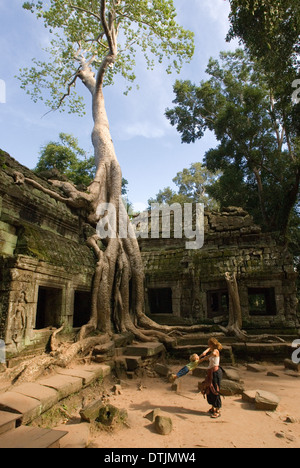 Ta Prohm Tempel. Reisen mit Kindern. Große Bäume ragen über Ta Prohm, ihre Blätter filtern das Sonnenlicht, Bereitstellung von Kurort Stockfoto