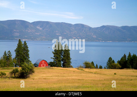 Rote Scheune und Ackerland entlang Flathead Lake, Montana, USA. Stockfoto