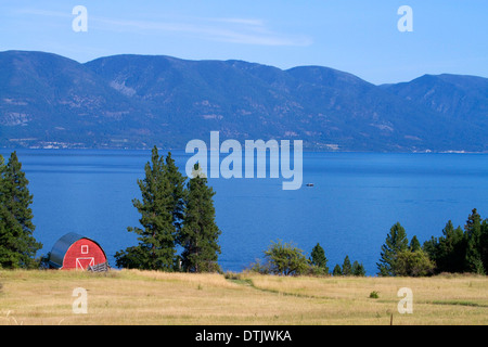 Rote Scheune und Ackerland entlang Flathead Lake, Montana, USA. Stockfoto