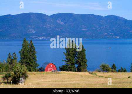 Rote Scheune und Ackerland entlang Flathead Lake, Montana, USA. Stockfoto