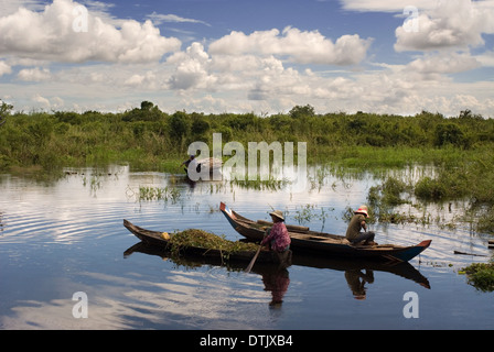 Boote auf dem Fluss Sangker. Reise von Battambang nach Siemp ernten. Sie haben gesehen, der Tempel in Siem Reap. Dein Rucksack ist fu Stockfoto