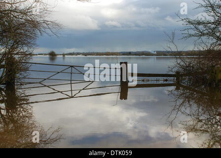 Burrow Brücke, Somerset, UK. 18. Februar 2014. 18. Februar 2014 Überschwemmungen auf der Somerset Levels Flut Wasser decken Bereiche nahe Burrow Bridge. Bildnachweis: Anthony Collins/Alamy Live-Nachrichten Stockfoto