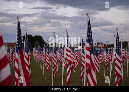 US-Flaggen in Mitchell, SD Stockfoto