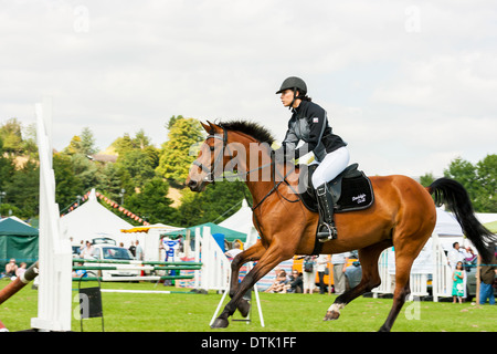 Junge Frau auf Pferd springen über Hürden bei Land-Show-Event. Staffordshire County Show Staffordshire England UK Stockfoto