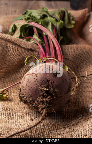 Rote Beete mit Erde auf Sackleinen Stockfoto