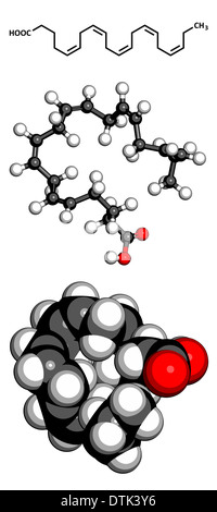S ure EPA Omega 3 Fetts uren Eicosapentaens ure Molek lmodell EPA s-ure-epa-omega-3-fetts-uren-eicosapentaens-ure-molek-lmodell-epa