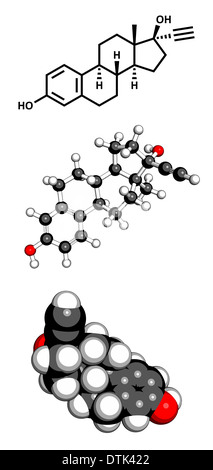 Ethinylestradiol Estradiol (EE) anticonceptive Hormon Molekül Stockfoto