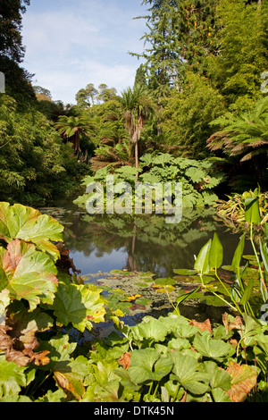 Tropischen Wasser Garten Lost Gardens of Heligan Cornwall UK Stockfoto